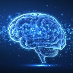 IMF Projects 6%–6.3% GDP Growth for Tanzania, Inflation Steady at 3.5%